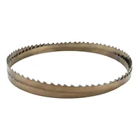 IGM Carbide RESAWKING Pílový pás 2946mm - 20 x 0,6mm 1,5-2Tpi