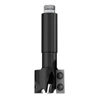 IGM F453 Drážkovacia fréza zavrtávacia HW - D40x29,5 L100 S=20 Z2+2